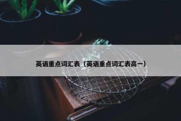 英语重点词汇表（英语重点词汇表高一）