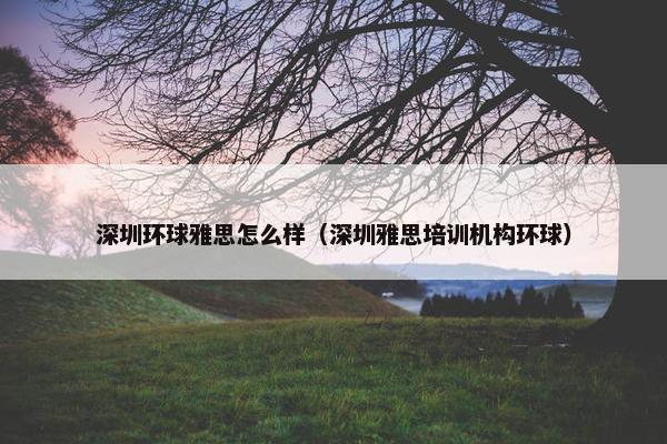 深圳环球雅思怎么样（深圳雅思培训机构环球）