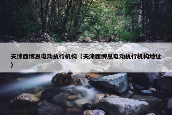 天津西博思电动执行机构（天津西博思电动执行机构地址）