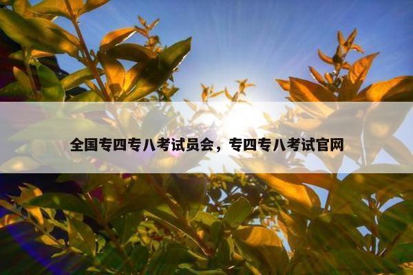 全国专四专八考试员会，专四专八考试官网