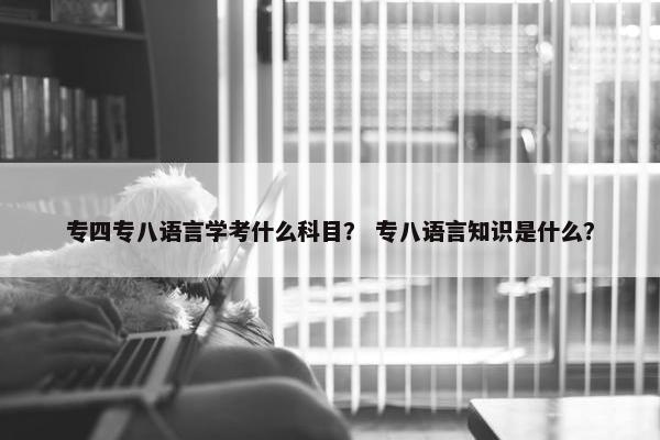专四专八语言学考什么科目？ 专八语言知识是什么？