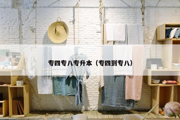 专四专八专升本（专四到专八）