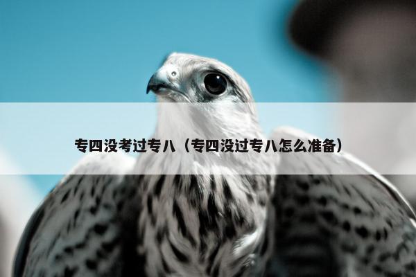 专四没考过专八（专四没过专八怎么准备）