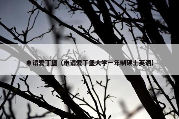 申请爱丁堡（申请爱丁堡大学一年制硕士英语）