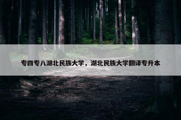 专四专八湖北民族大学，湖北民族大学翻译专升本