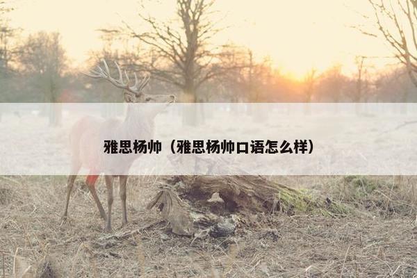 雅思杨帅（雅思杨帅口语怎么样）
