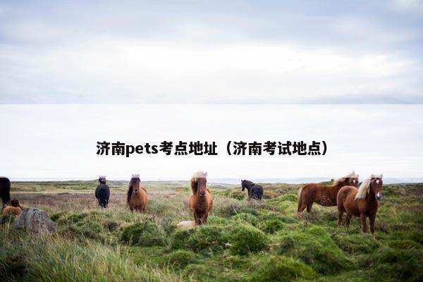 济南pets考点地址（济南考试地点）