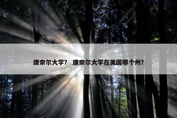 康奈尔大学？ 康奈尔大学在美国哪个州？