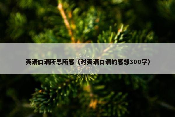 英语口语所思所感（对英语口语的感想300字）