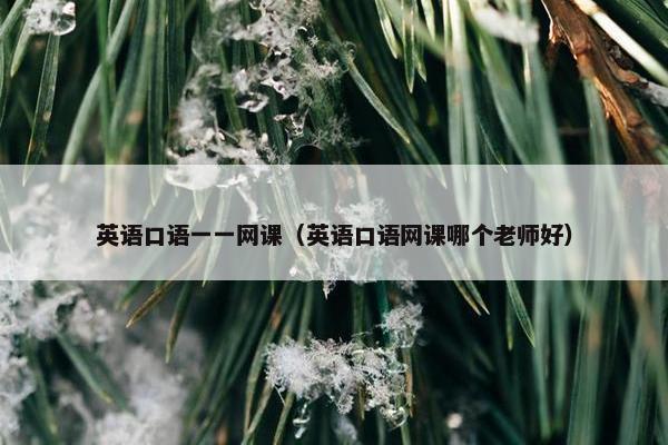 英语口语一一网课（英语口语网课哪个老师好）