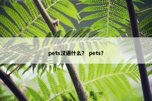 pets汉语什么？ pets？