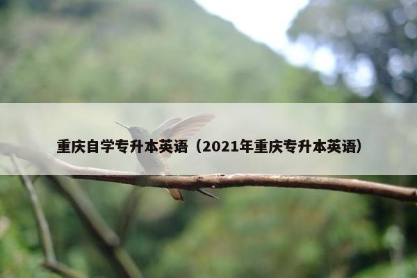 重庆自学专升本英语（2021年重庆专升本英语）