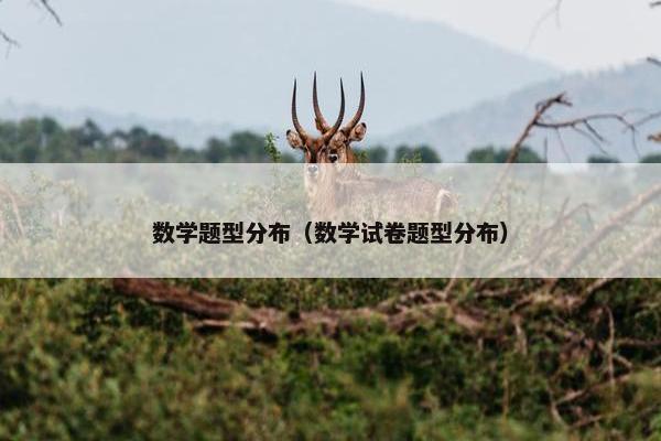 数学题型分布（数学试卷题型分布）