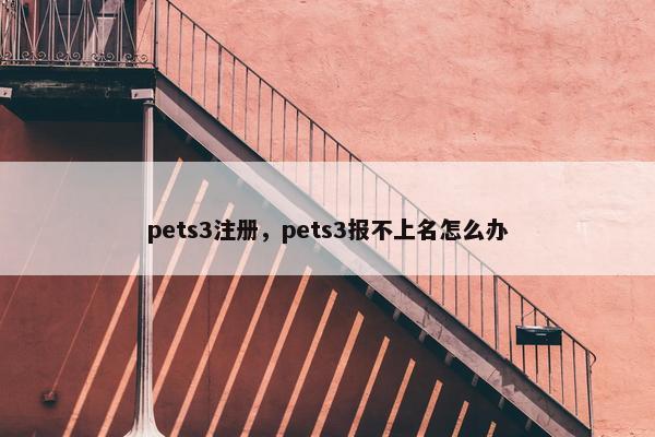 pets3注册，pets3报不上名怎么办