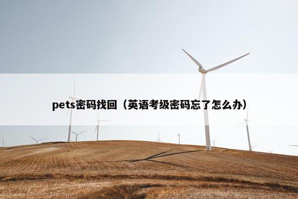 pets密码找回（英语考级密码忘了怎么办）