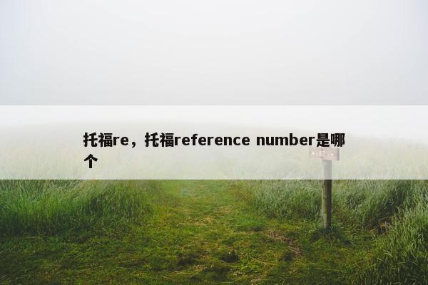 托福re，托福reference number是哪个
