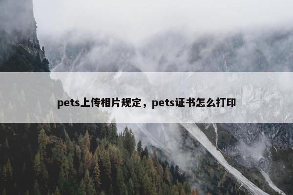 pets上传相片规定，pets证书怎么打印