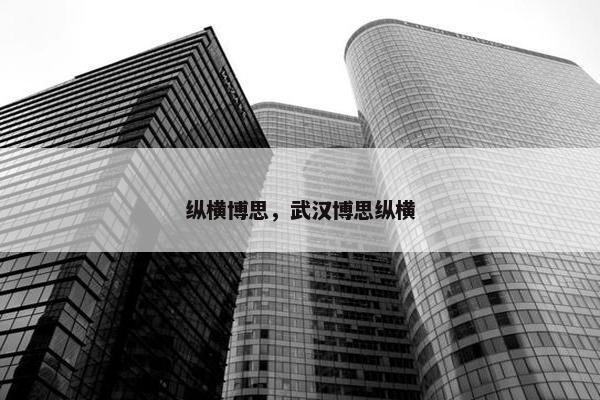 纵横博思，武汉博思纵横