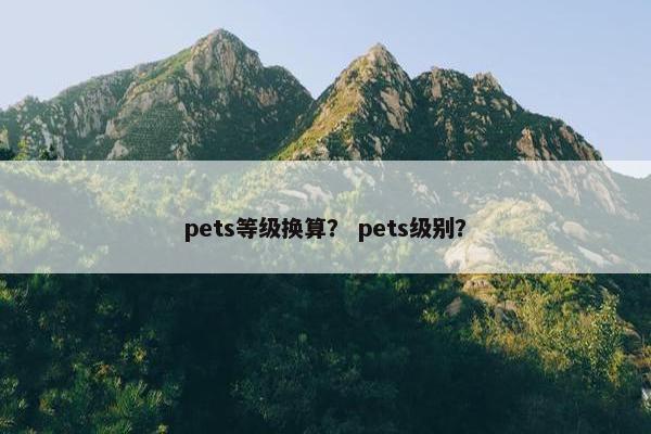 pets等级换算？ pets级别？