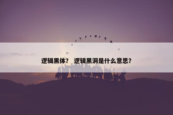 逻辑黑体？ 逻辑黑洞是什么意思？