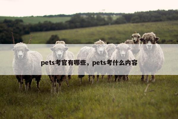 pets考官有哪些，pets考什么内容