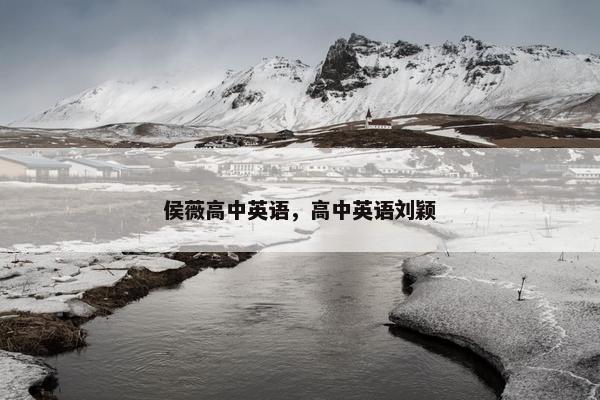 侯薇高中英语，高中英语刘颖