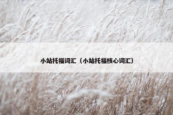 小站托福词汇（小站托福核心词汇）