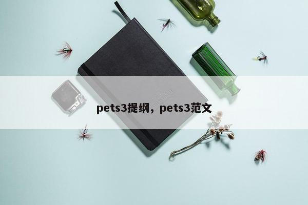 pets3提纲，pets3范文