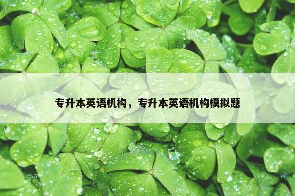 专升本英语机构，专升本英语机构模拟题