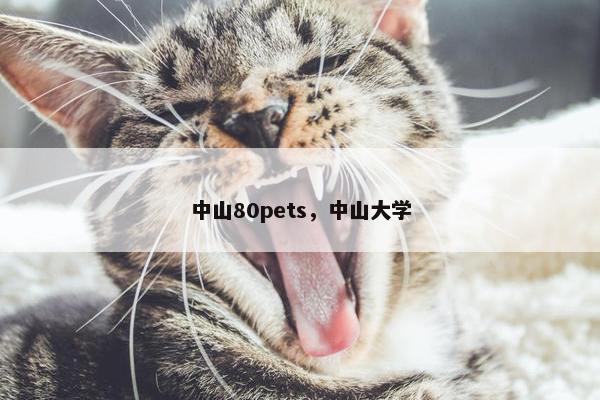 中山80pets，中山大学
