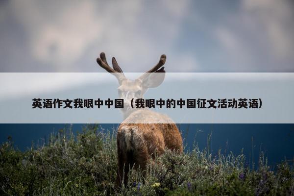 英语作文我眼中中国（我眼中的中国征文活动英语）