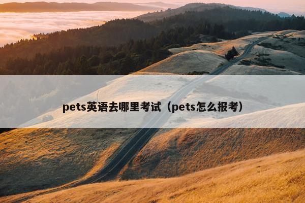 pets英语去哪里考试（pets怎么报考）