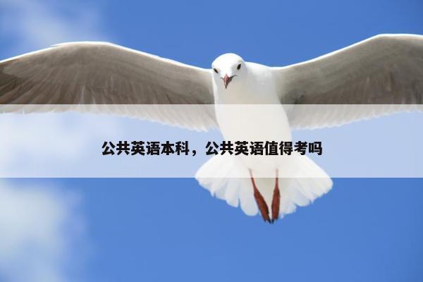 公共英语本科，公共英语值得考吗