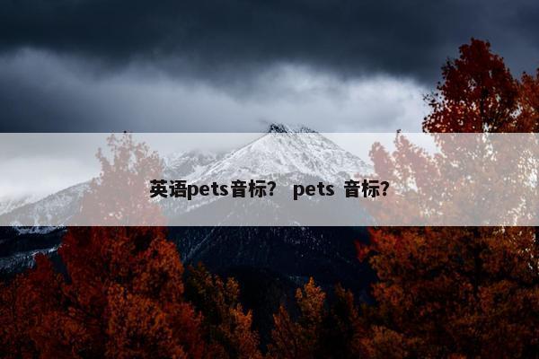 英语pets音标？ pets 音标？