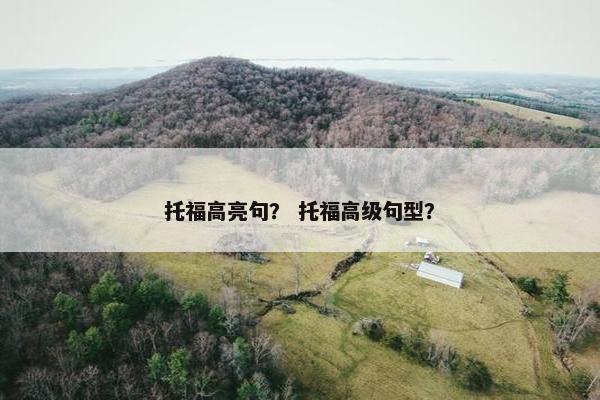 托福高亮句？ 托福高级句型？