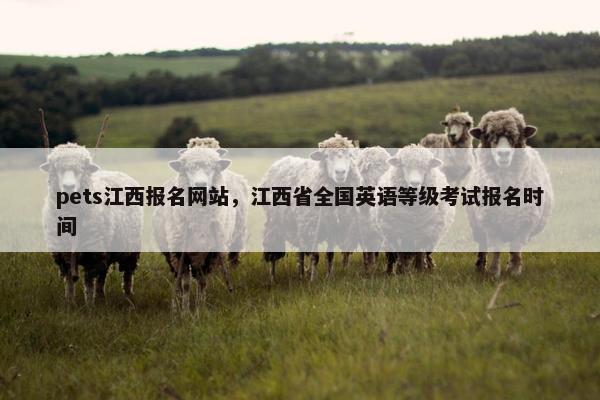 pets江西报名网站，江西省全国英语等级考试报名时间