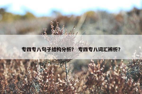 专四专八句子结构分析？ 专四专八词汇辨析？