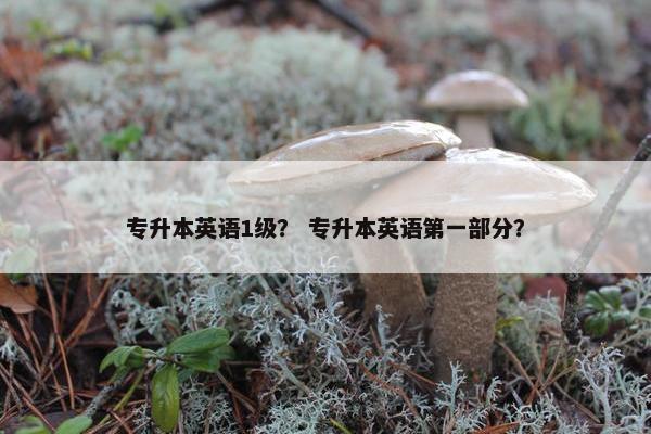 专升本英语1级？ 专升本英语第一部分？