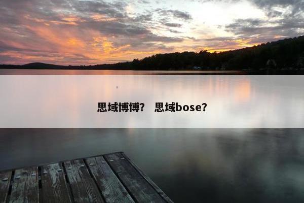 思域博博？ 思域bose？