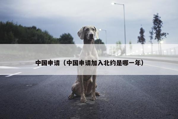 中国申请（中国申请加入北约是哪一年）