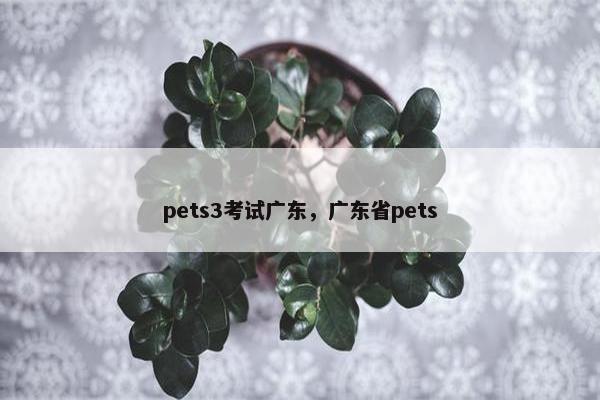 pets3考试广东，广东省pets