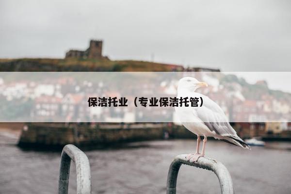 保洁托业（专业保洁托管）