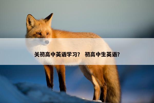 关初高中英语学习？ 初高中生英语？