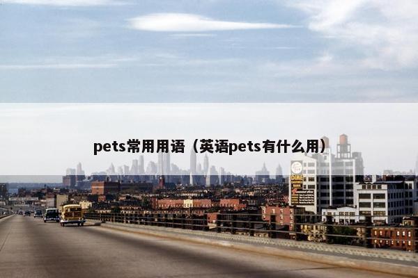 pets常用用语（英语pets有什么用）