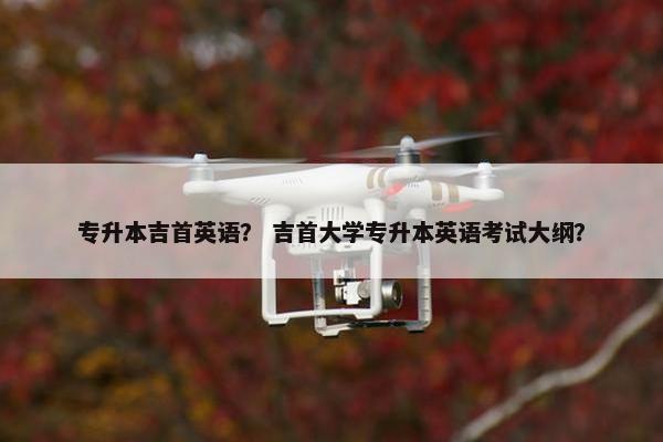 专升本吉首英语？ 吉首大学专升本英语考试大纲？