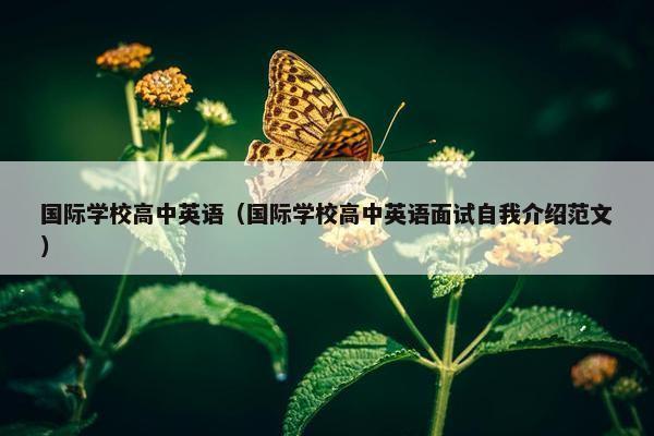 国际学校高中英语（国际学校高中英语面试自我介绍范文）