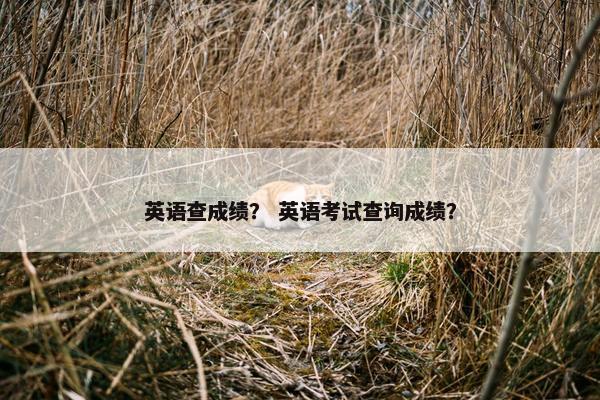 英语查成绩？ 英语考试查询成绩？