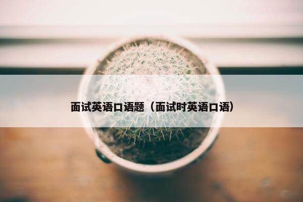 面试英语口语题（面试时英语口语）