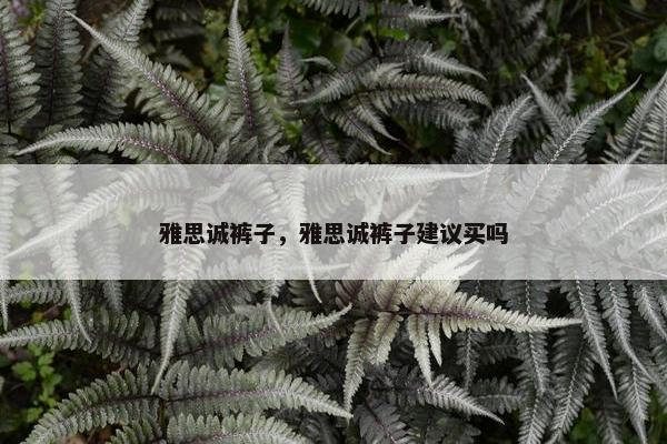 雅思诚裤子，雅思诚裤子建议买吗