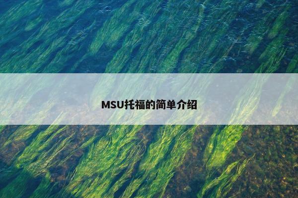 MSU托福的简单介绍